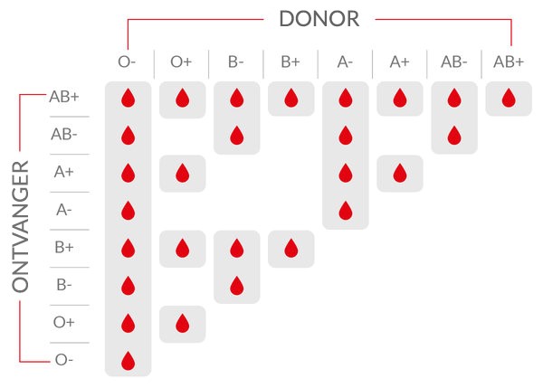 Vuilnisbak teksten Zich voorstellen Indeling en compatibiliteit van de bloedgroepen – Service du Sang -  Belgische Rode Kruis